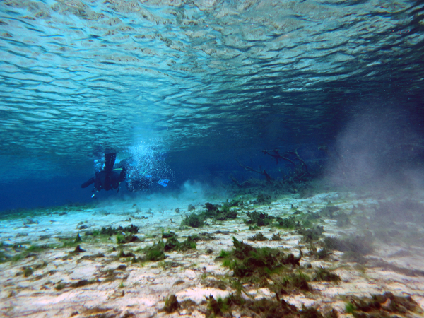 Dayo Scuba Center LLC, Orlando Florida www.dayo.com