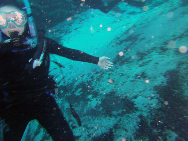 Dayo Scuba Center LLC, Orlando Florida www.dayo.com