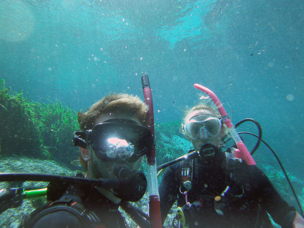 Dayo Scuba Center LLC, Orlando Florida www.dayo.com