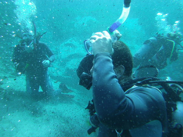 Dayo Scuba Center LLC, Orlando Florida www.dayo.com
