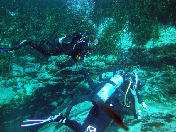 Dayo Scuba Center LLC, Orlando Florida www.dayo.com