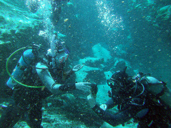 Dayo Scuba Center LLC, Orlando Florida www.dayo.com