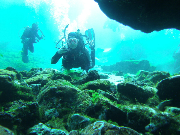 Dayo Scuba Center LLC, Orlando Florida www.dayo.com