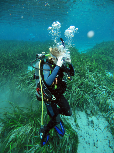 Dayo Scuba Center LLC, Orlando Florida www.dayo.com