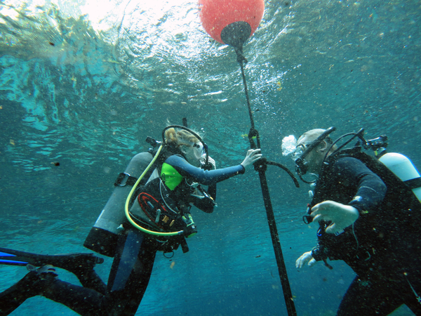 Dayo Scuba Center LLC, Orlando Florida www.dayo.com