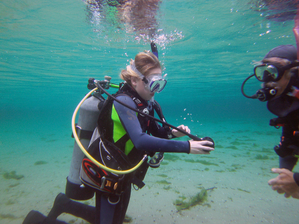 Dayo Scuba Center LLC, Orlando Florida www.dayo.com