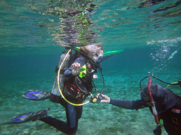 Dayo Scuba Center LLC, Orlando Florida www.dayo.com