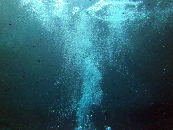 Dayo Scuba Center LLC, Orlando Florida www.dayo.com