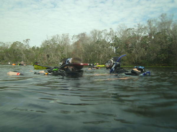 Dayo Scuba Center LLC, Orlando Florida www.dayo.com