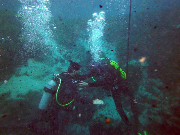 Dayo Scuba Center LLC, Orlando Florida www.dayo.com