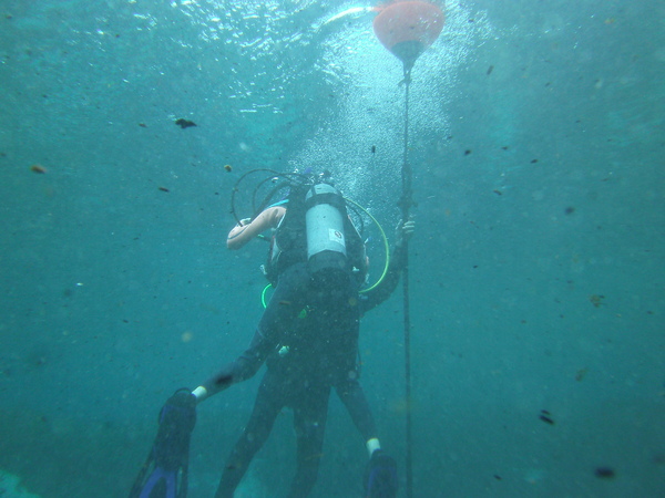 Dayo Scuba Center LLC, Orlando Florida www.dayo.com