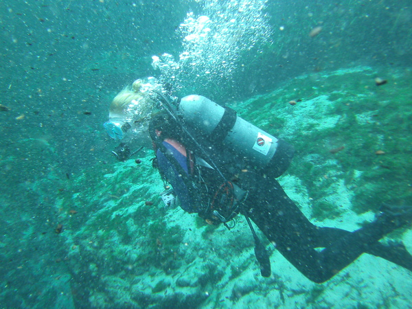 Dayo Scuba Center LLC, Orlando Florida www.dayo.com