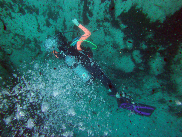 Dayo Scuba Center LLC, Orlando Florida www.dayo.com
