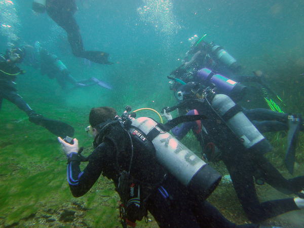 Dayo Scuba Center LLC, Orlando Florida www.dayo.com
