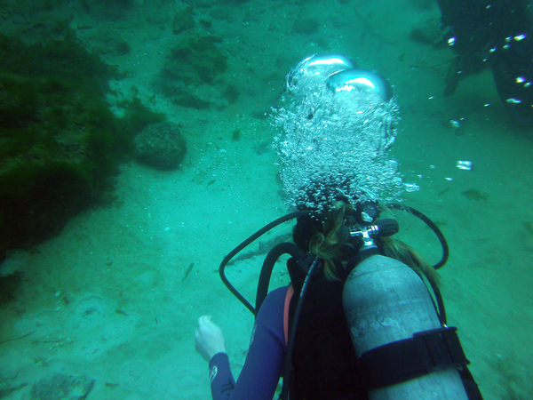 Dayo Scuba Center LLC, Orlando Florida www.dayo.com