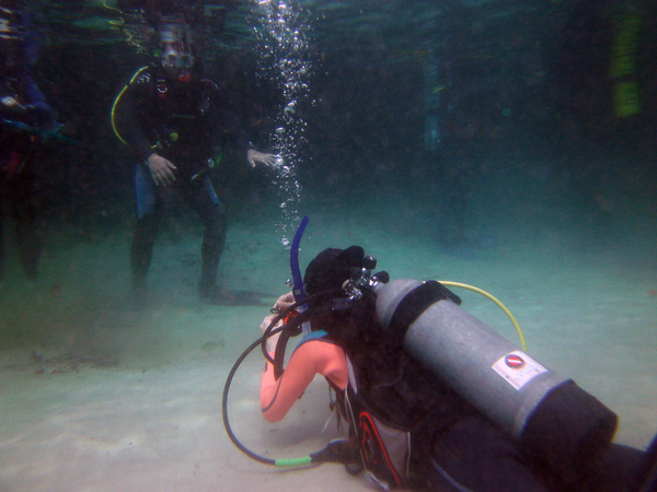 Dayo Scuba Center LLC, Orlando Florida www.dayo.com