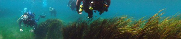 Dayo Scuba Center LLC, Orlando Florida www.dayo.com