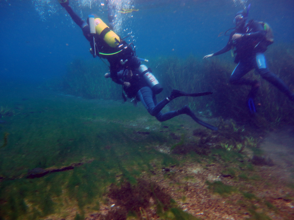 Dayo Scuba Center LLC, Orlando Florida www.dayo.com