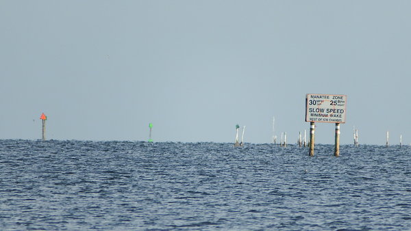 Dayo Scuba Center LLC, Orlando Florida www.dayo.com