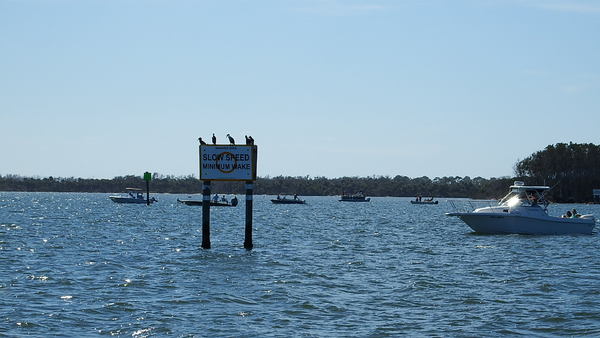 Dayo Scuba Center LLC, Orlando Florida www.dayo.com