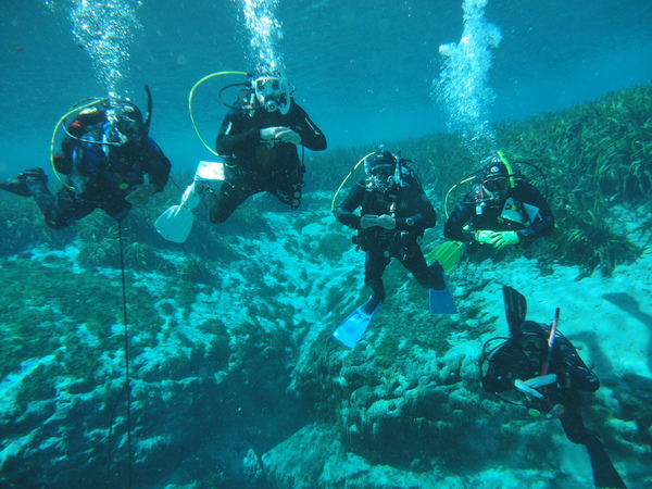 Dayo Scuba Center LLC, Orlando Florida www.dayo.com