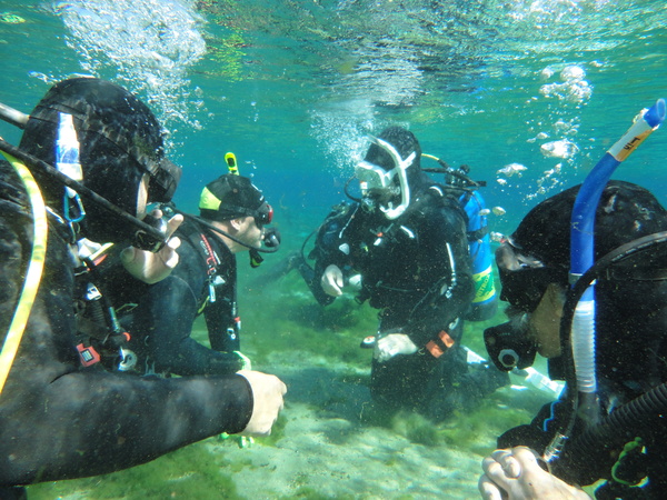 Dayo Scuba Center LLC, Orlando Florida www.dayo.com
