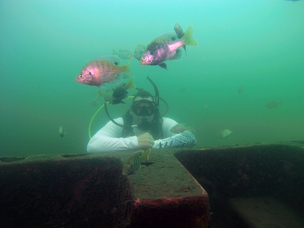 Dayo Scuba Center LLC, Orlando Florida www.dayo.com