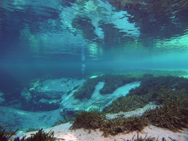 Dayo Scuba Center LLC, Orlando Florida www.dayo.com