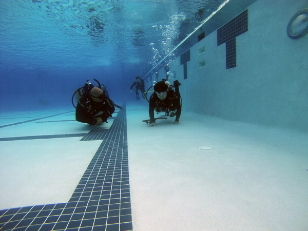 Dayo Scuba Center LLC, Orlando Florida www.dayo.com