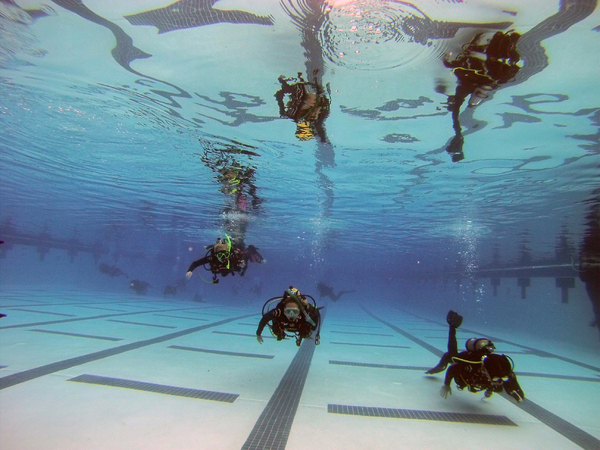 Dayo Scuba Center LLC, Orlando Florida www.dayo.com