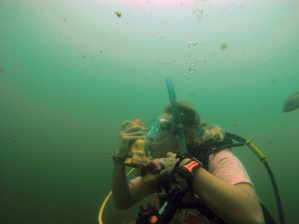 Dayo Scuba Center LLC, Orlando Florida www.dayo.com