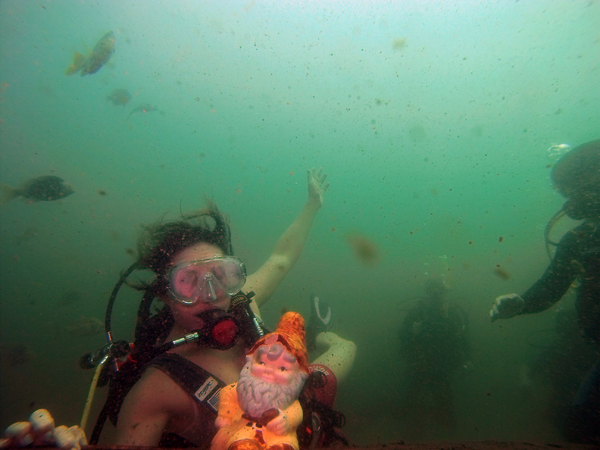 Dayo Scuba Center LLC, Orlando Florida www.dayo.com