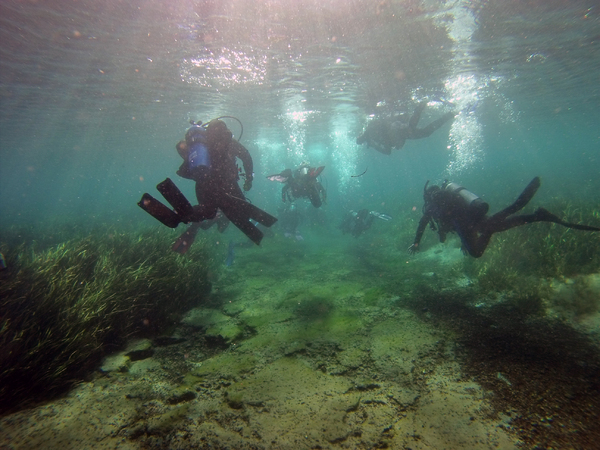 Dayo Scuba Center LLC, Orlando Florida www.dayo.com
