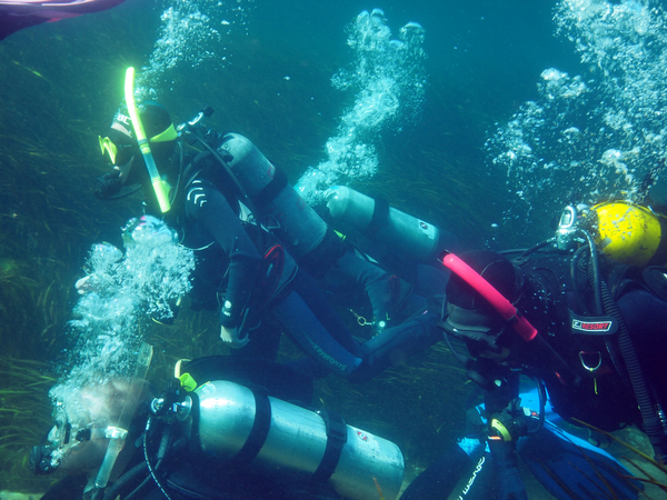 Dayo Scuba Center LLC, Orlando Florida www.dayo.com