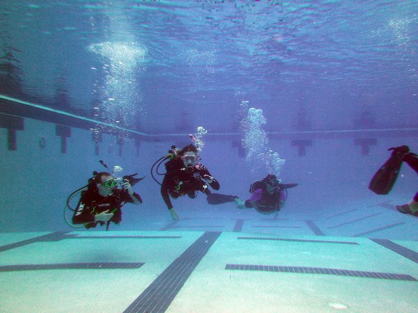 Dayo Scuba Center LLC, Orlando Florida www.dayo.com