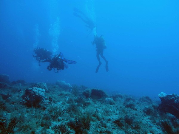 Dayo Scuba Center LLC, Orlando Florida www.dayo.com