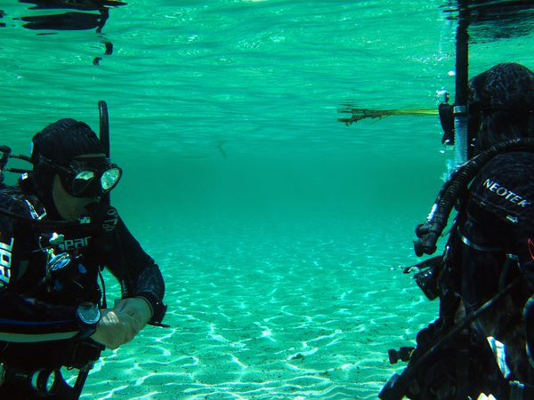 Dayo Scuba Center LLC, Orlando Florida www.dayo.com