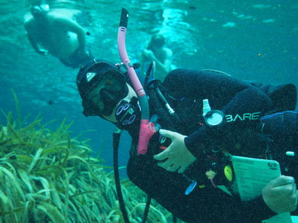 Dayo Scuba Center LLC, Orlando Florida www.dayo.com