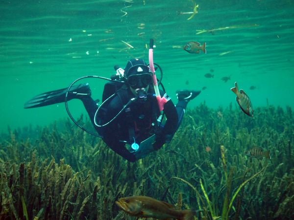 Dayo Scuba Center LLC, Orlando Florida www.dayo.com