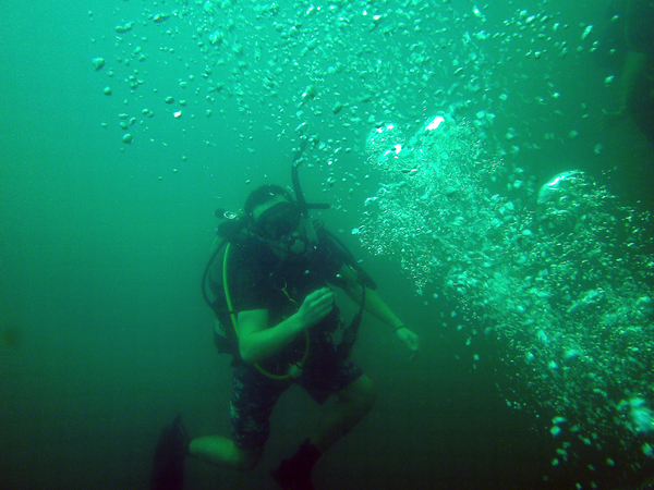 Dayo Scuba Center LLC, Orlando Florida www.dayo.com