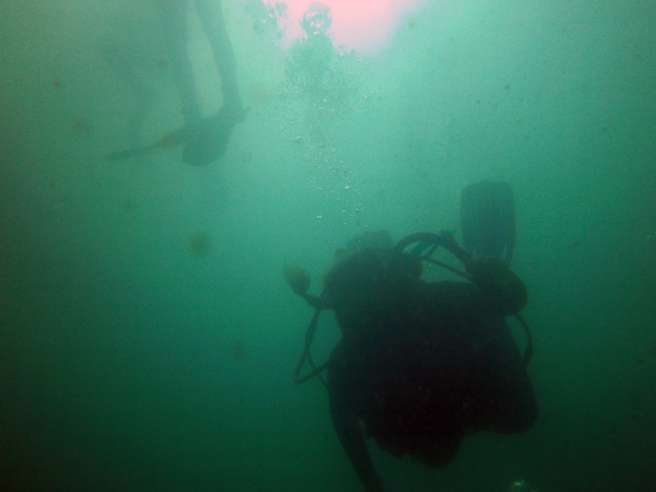 Dayo Scuba Center LLC, Orlando Florida www.dayo.com