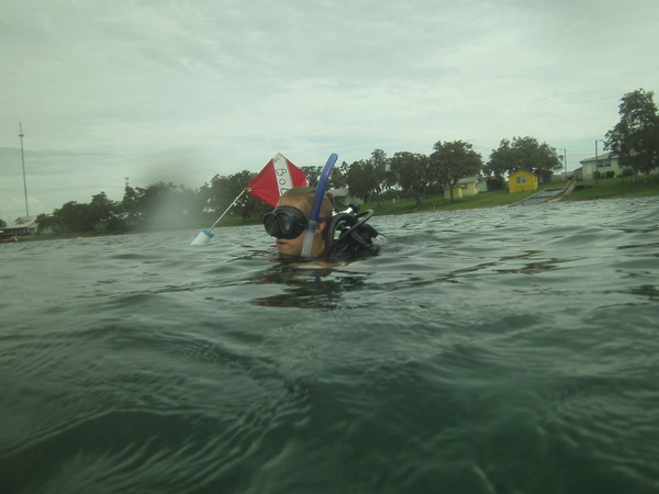 Dayo Scuba Center LLC, Orlando Florida www.dayo.com