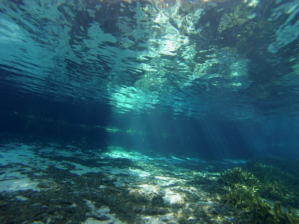 Dayo Scuba Center LLC, Orlando Florida www.dayo.com