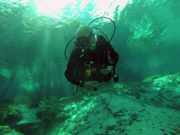 Dayo Scuba Center LLC, Orlando Florida www.dayo.com