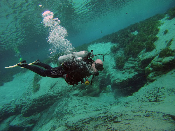 Dayo Scuba Center LLC, Orlando Florida www.dayo.com