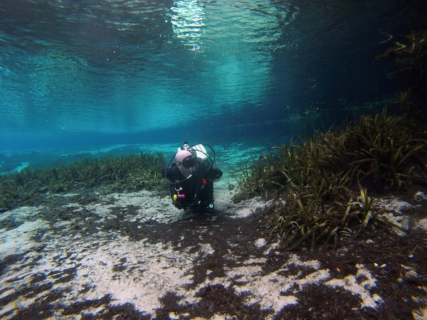 Dayo Scuba Center LLC, Orlando Florida www.dayo.com