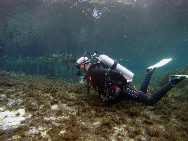 Dayo Scuba Center LLC, Orlando Florida www.dayo.com