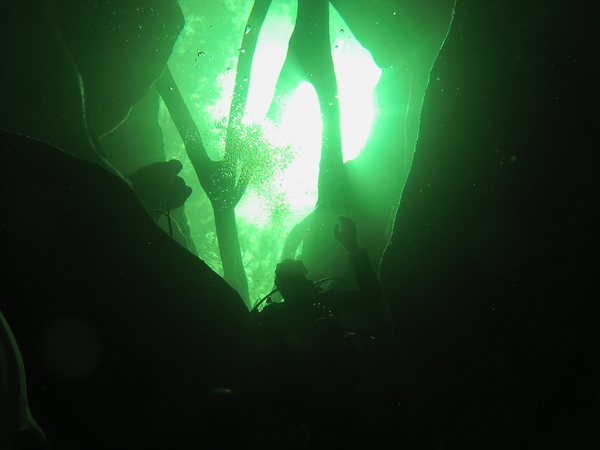 Dayo Scuba Center LLC, Orlando Florida www.dayo.com