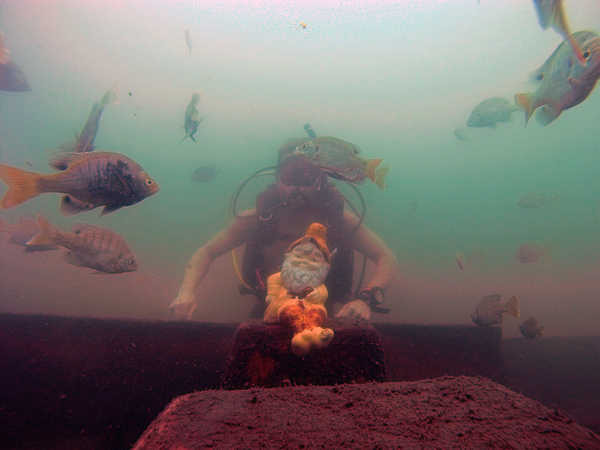 Dayo Scuba Center LLC, Orlando Florida www.dayo.com