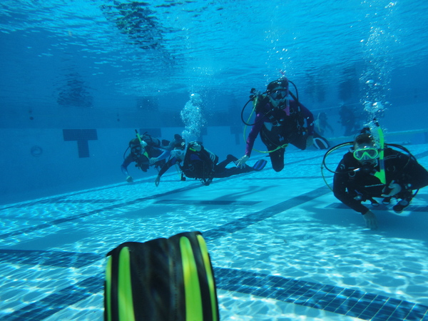 Dayo Scuba Center LLC, Orlando Florida www.dayo.com